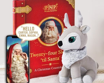 P.N.P Personalised Christmas Book And Reindeer Gift Set