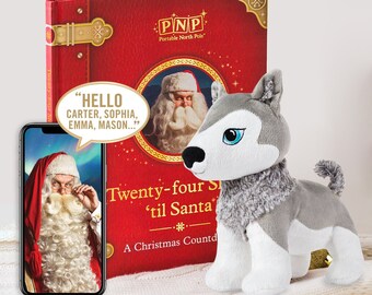 P.N.P Personalised Christmas Book And Husky Gift Set