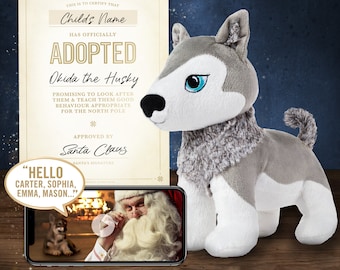 Okidä the Husky Adoption Set
