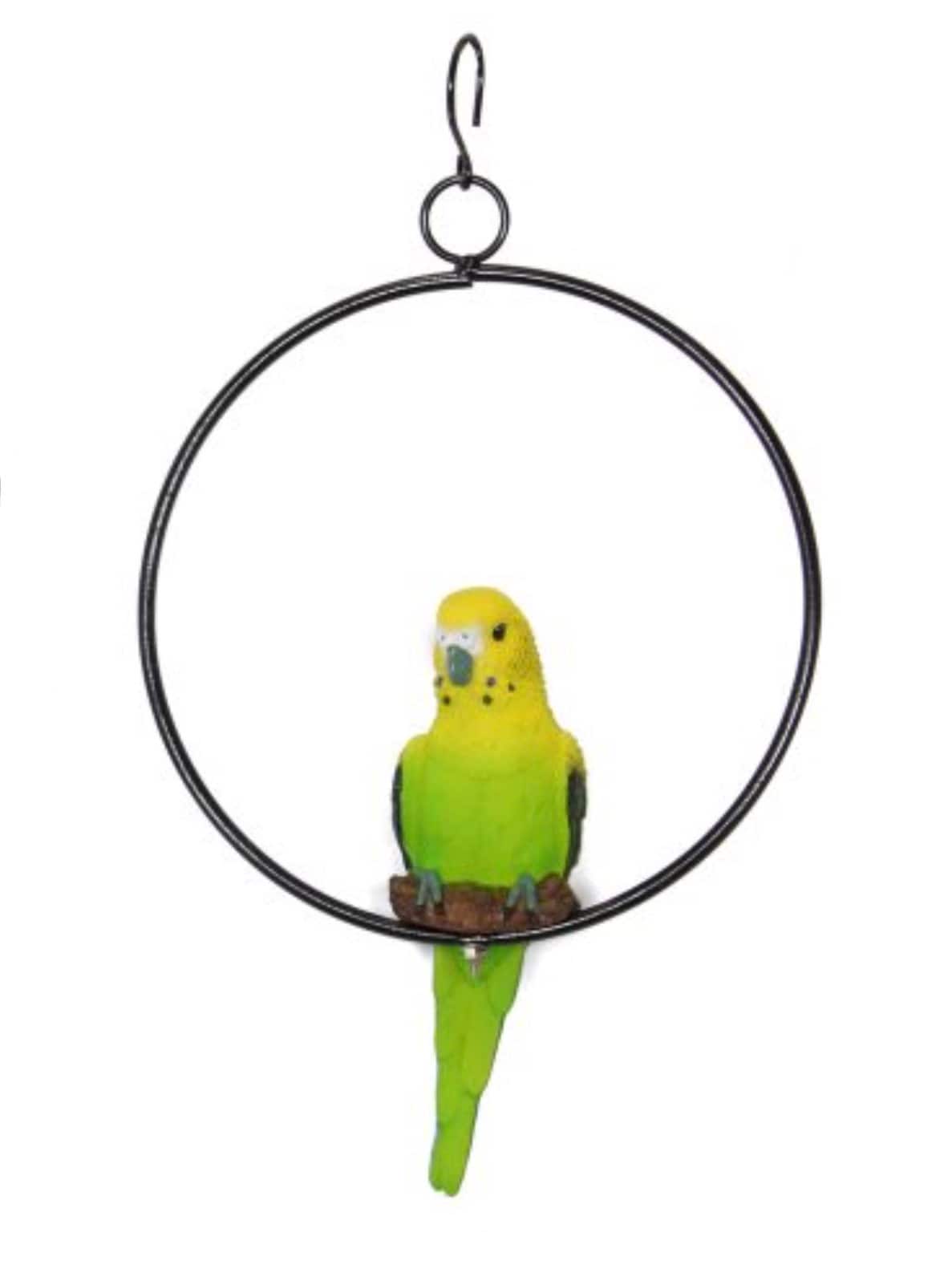 18cm Budgie budgerigar Parrot Australian Native Bird on Metal Swing Ring parot