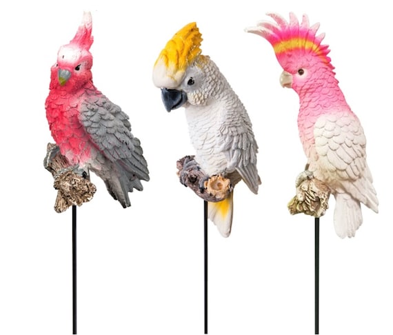 Cockatoo accessories sale