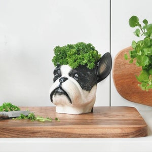 Ceramic Frenchie Dog Planter - Vase Statue Plant French Bulldog ...