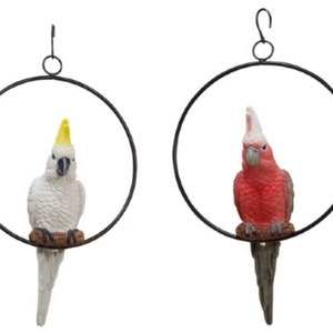 26cm Galah or Cockatoo Parrot Australian Native Bird parot on Metal Swing Ring