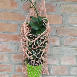 May include: A hanging plant in a peach-colored macrame net. The plant has large, dark green leaves and is in a bright green pot. The net is suspended from a metal hook on a brick wall.