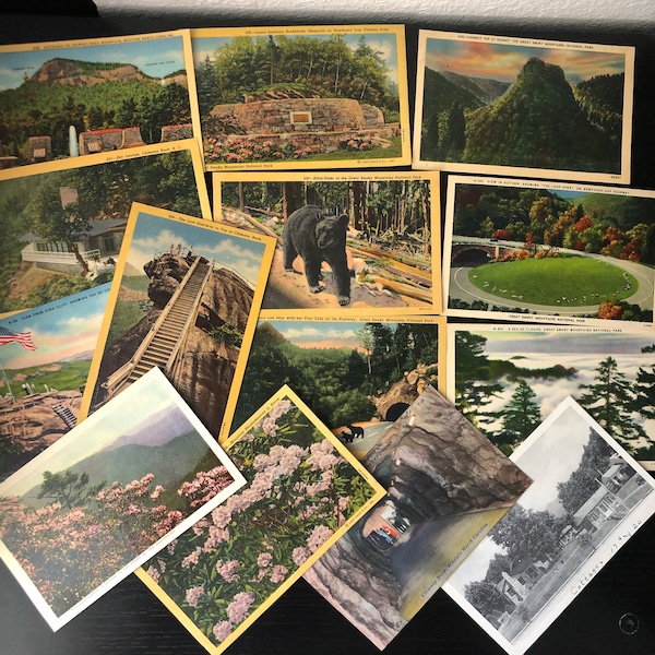 Smoky Mountain and Chimney Rock NC - 14 Vintage Vacation Postcards - Gatlinburg - Blue Ridge - Bears and Flowers