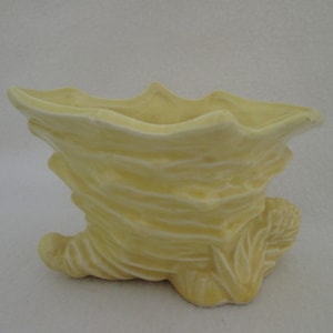 May include: A yellow ceramic planter shaped like a seashell with a ruffled edge. The planter has a textured surface and a small, leafy design on the side.