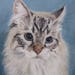 see more listings in the Cat portrait paintings section