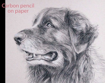 Pet portrait custom, Dog portrait drawing, Dog drawing, carbon pencil on Ingres paper. 50% DEPOSIT. Handmade Custom pet portrait.