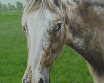 Horse painting | Horse Portrait | Horse gifts | Horse | Horse art | Horse portrait painting | Oil painting | Horse memorial | Christmas