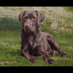 Custom pet portrait painting, Dog Portrait, Dog Painting - oil painting on canvas.  Handmade Custom pet portrait.