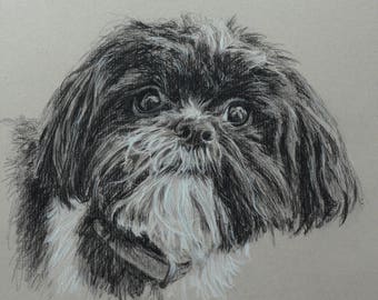 Dog portrait custom, Pet portrait, Dog drawing, carbon pencil on Ingres paper. 50% DEPOSIT. Handmade Custom pet portrait.