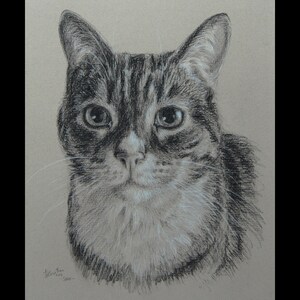 Custom Cat portrait | Cat portrait custom | Cat | Cat gift | Cat art | Cat lover | Cat lover gift | Cat memorial | Christmas bild 8
