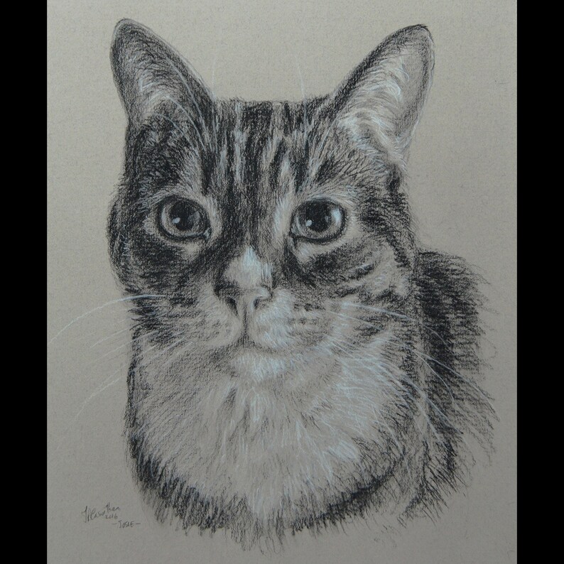 Custom Cat portrait | Cat portrait custom | Cat | Cat gift | Cat art | Cat lover | Cat lover gift | Cat memorial | Christmas bild 8