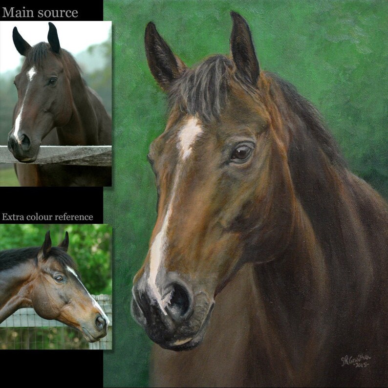 Horse painting Horse Portrait Horse gifts Horse Horse Etsy