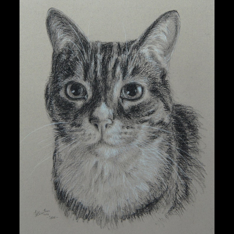 Cat Painting oil painting on canvas 50/% DEPOSIT Cat Portrait TWO CATS. Handmade Custom pet portrait Cat portrait custom