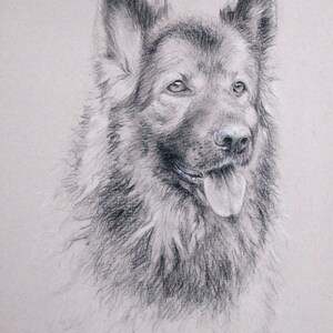 Dog portrait custom, Pet portrait, Dog drawing, carbon pencil on Ingres paper. 50% DEPOSIT. Handmade Custom pet portrait.