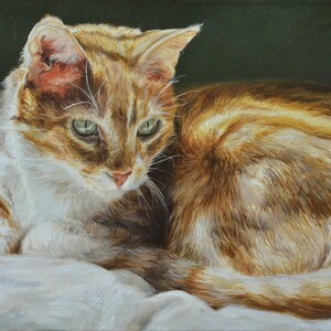 Custom Cat portrait | Cat portrait custom | Cat | Cat gift | Cat art | Cat lover | Cat lover gift | Cat memorial | Christmas bild 2