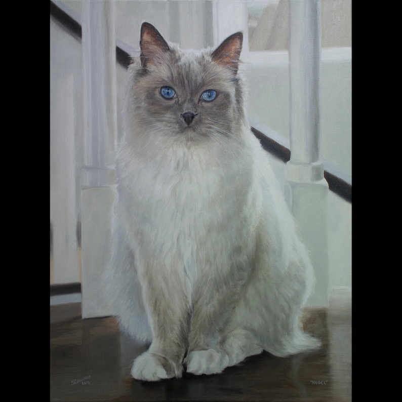 Cat Painting oil painting on canvas 50/% DEPOSIT Cat Portrait TWO CATS. Handmade Custom pet portrait Cat portrait custom