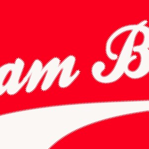 以下が含まれることがあります： 赤い背景に白い文字で「Team Bulls」と書いてあります。文字から白い曲線が伸びています。