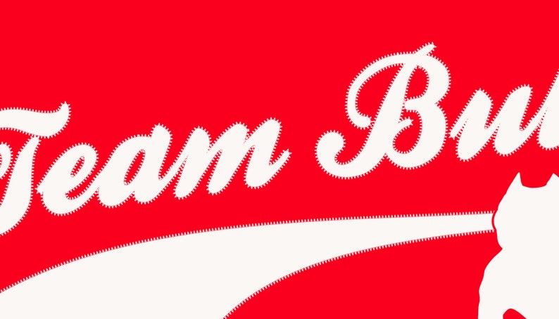 以下が含まれることがあります： 赤い背景に白い文字で「Team Bulls」と書いてあります。文字から白い曲線が伸びています。