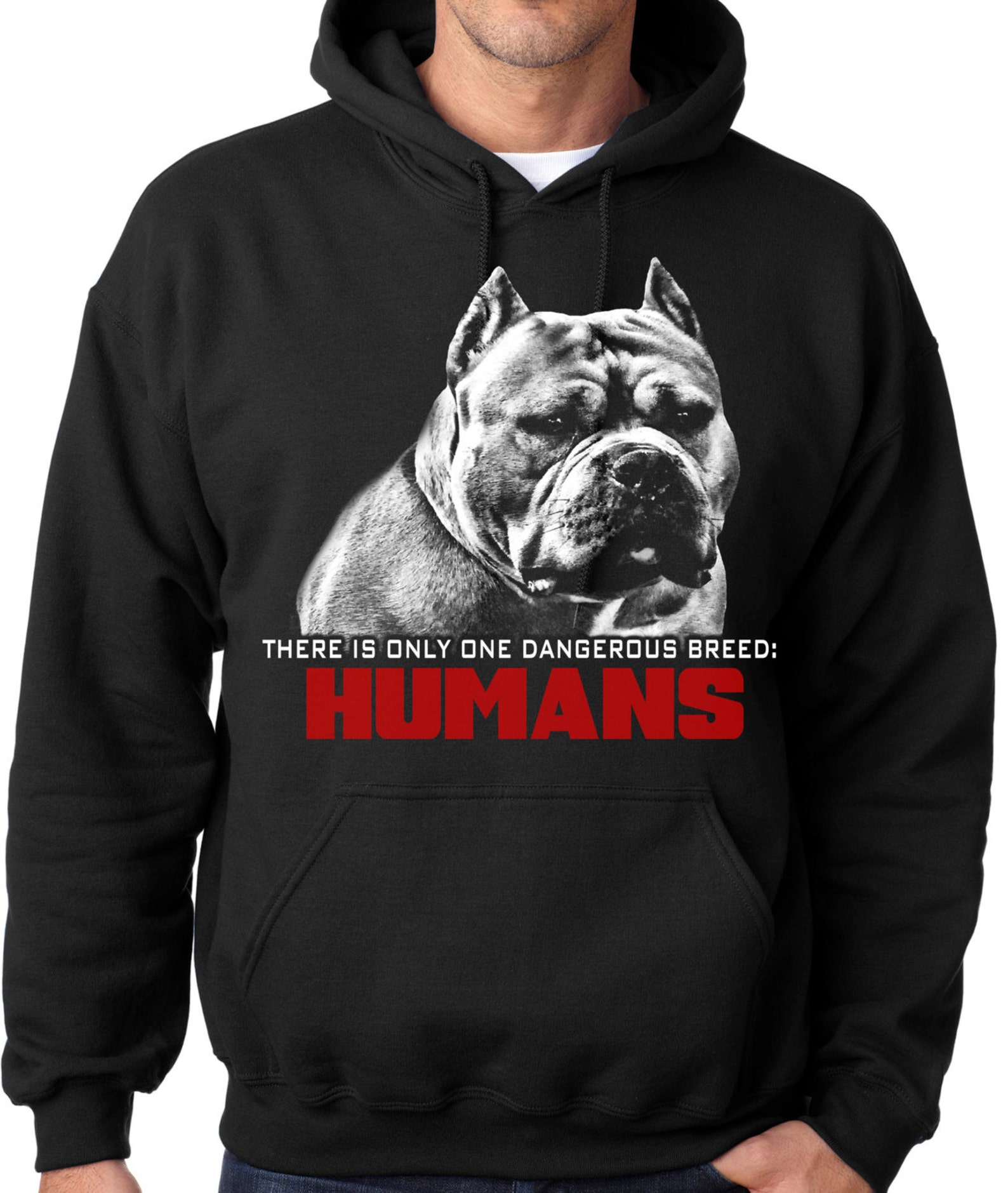 Pitbull толстовка старого образца