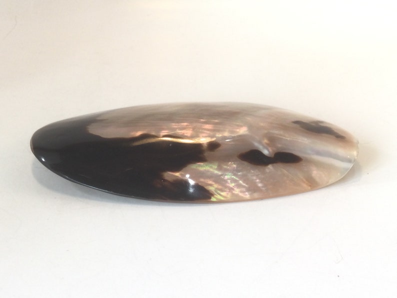 SEASHELL BELT BUCKLE