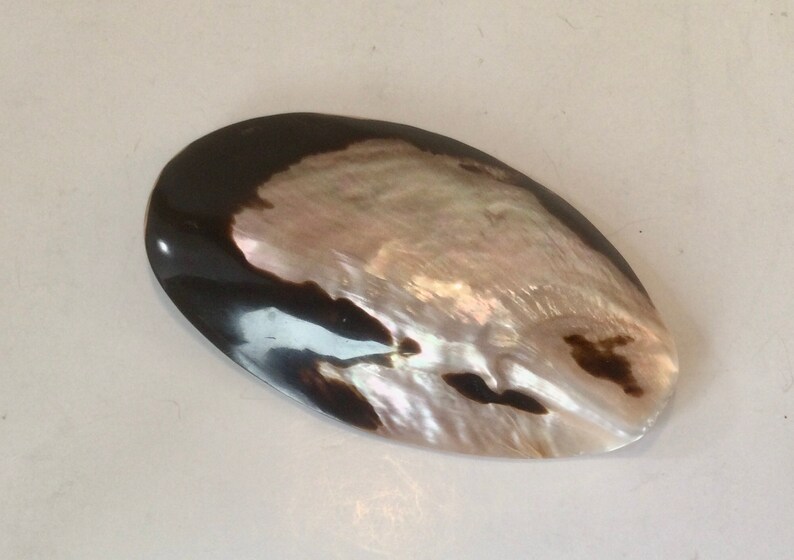 SEASHELL BELT BUCKLE
