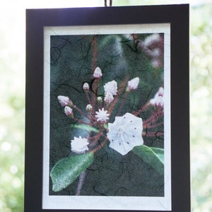 Berg Laurel Gicée op Japanse Kozo (Mulberry) papier, duurzame eco-vriendelijke Fine Art Photography (Digital)-(FRAME niet inbegrepen)