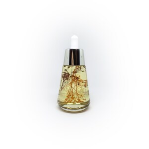 Vanilla Nights Cuticle Oil- 50ml Desk Bottle With Dropper