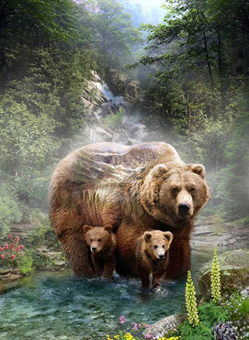 Hoffman Grizzly 31 x 42 Digital Bear Panel from Hoffman by the panel