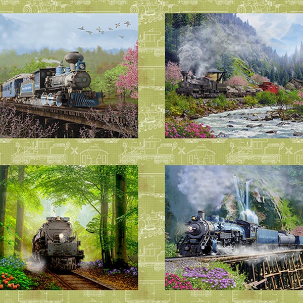 Steam In The Spring Train Pillow Panel 18719 from 3 Wishes by the panel