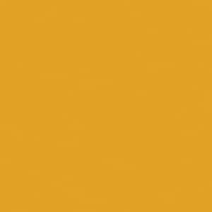 May include: Solid yellow background.