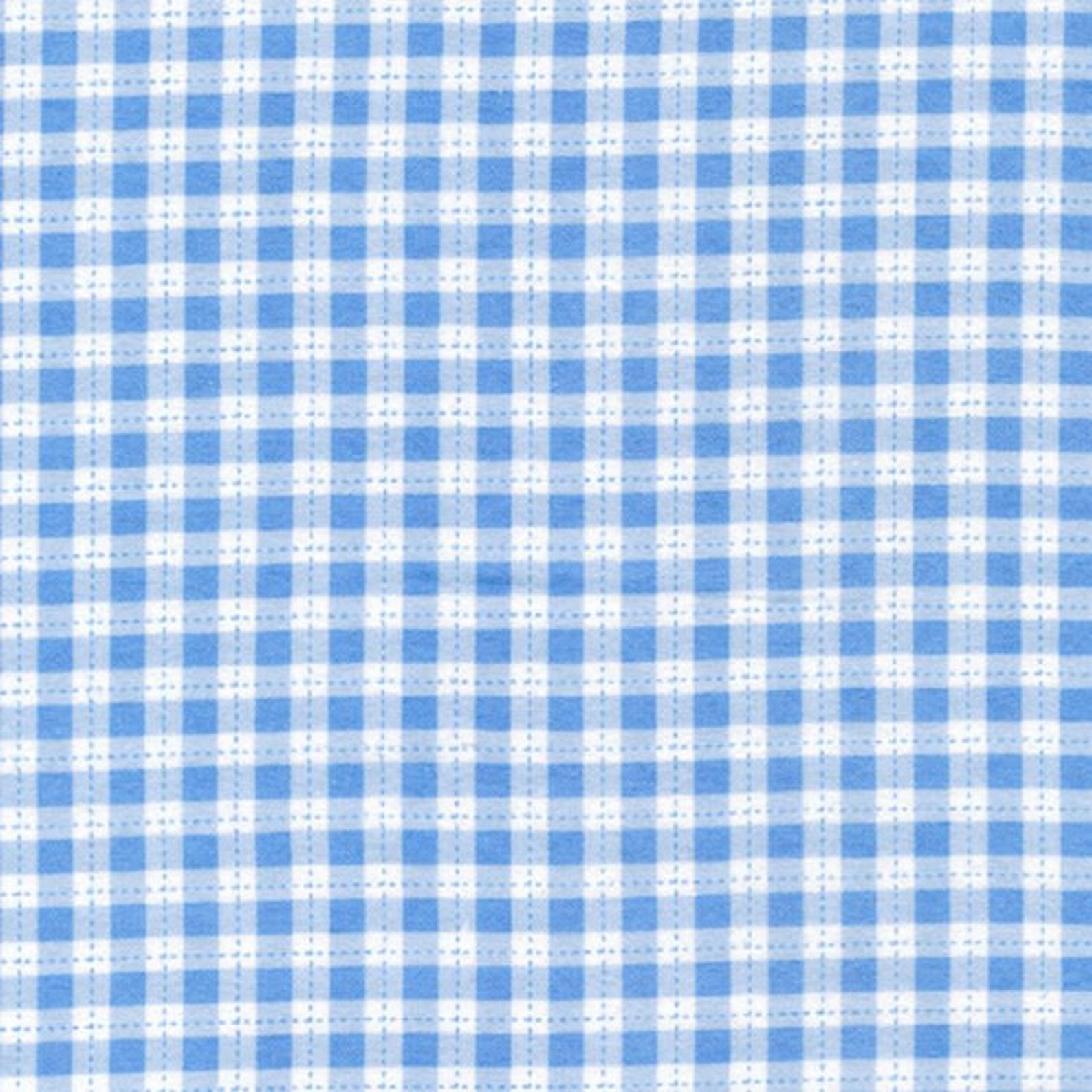 blue gingham flannel