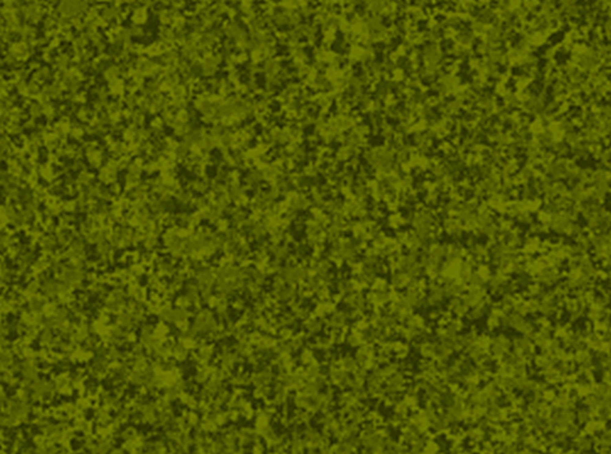 Color Blends Avocado Green Blender Fabric 1649-23528-G From - Etsy UK