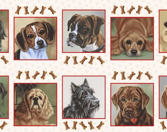 Off The Leash 10" x 10" Blocks Dog Panel 6116-43 from Studio E by the panel