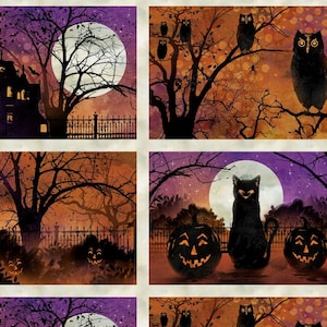 Frightful Night Placemat Panel 20502-986 from Wilmington by the panel