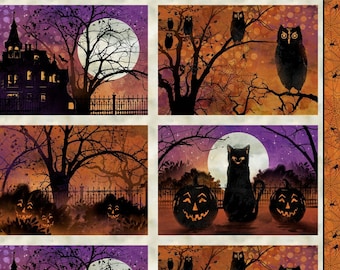 Frightful Night Placemat Panel 20502-986 from Wilmington by the panel