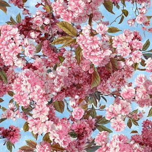 May include: A close-up of a floral print fabric featuring pink cherry blossoms against a light blue sky background.