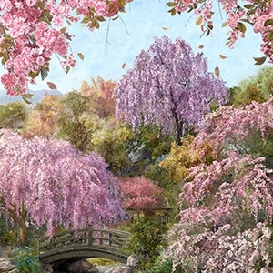 cherry blossomさま専用　玄米 26