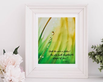 May include: A watercolor painting of a green blade of grass with dew drops on it. The painting has a quote from the Bible, "Hath the rain a father? Or who hath begotten the drops of dew?" - Job 38:28.
