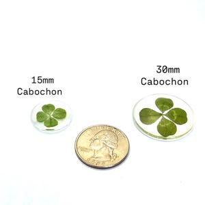 May include: Two clear resin cabochons with four-leaf clovers pressed inside. The smaller cabochon is 15mm and the larger cabochon is 30mm.