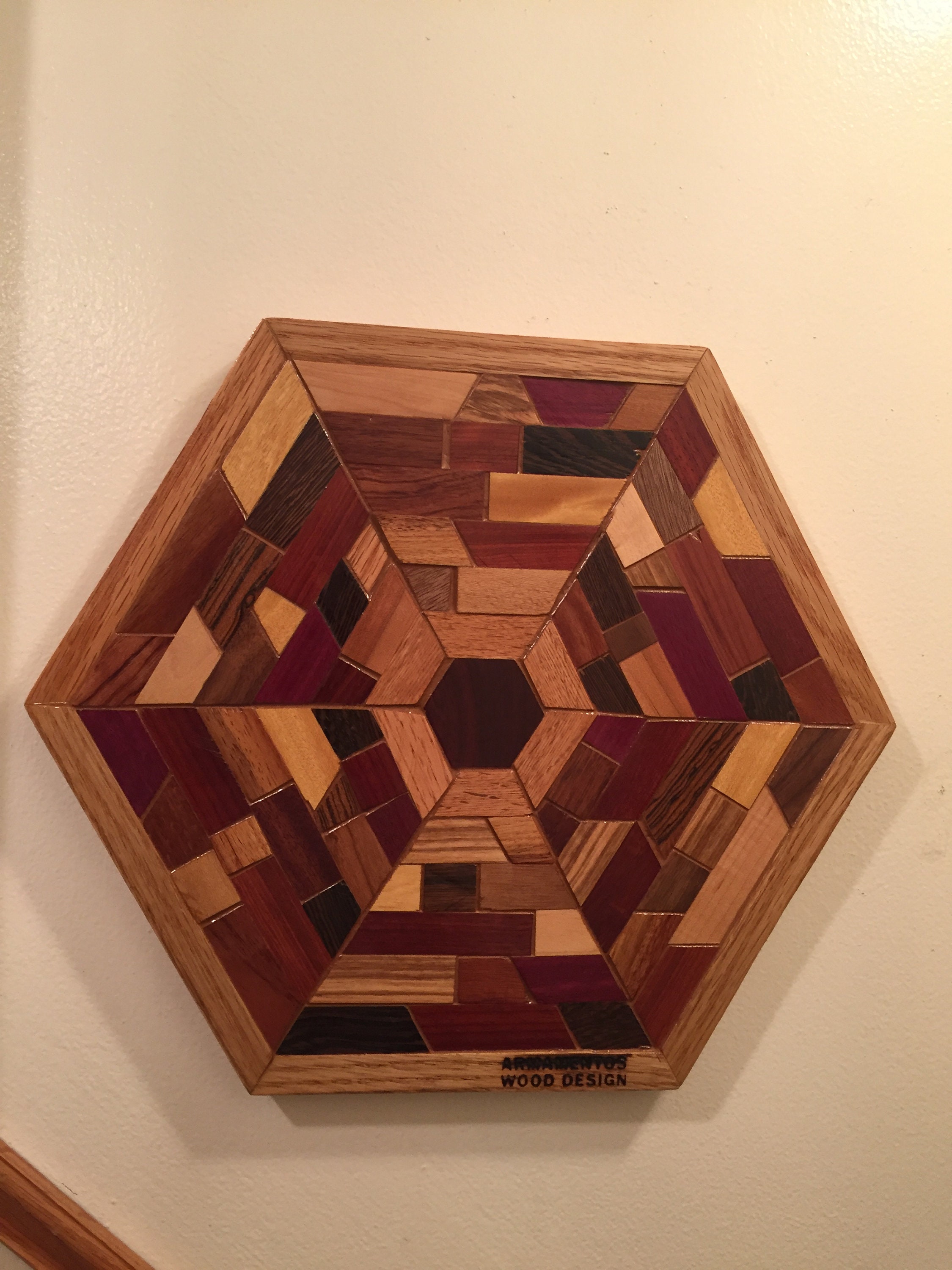 Hexagon Shaped Wood Wall Art Sculpture Featuring a Variety of 