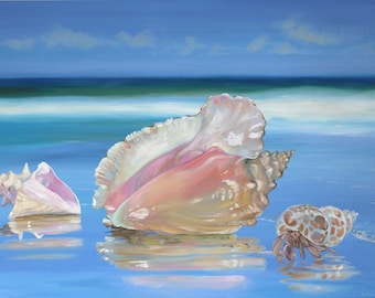 Könnte beinhalten: Drei Muscheln an einem Strand mit blauem Wasser und blauem Himmel. Die größte Muschel ist rosa und weiß, die zweite ist weiß und rosa und die kleinste ist eine Einsiedlerkrebsmuschel.