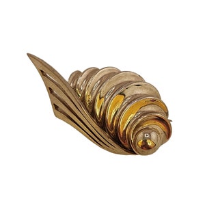 Puede incluir: Un broche dorado en forma de concha con un diseño de espiral y capas.
