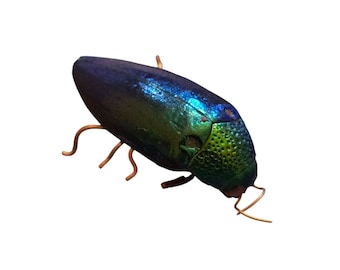 Antique Beetle Pin (A10101)