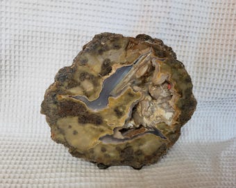 Priday Large Thunderegg Half Madras Oregon Cut Polished