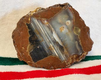 Unique 1950s Priday Thunderegg Madras Oregon Cut Polished