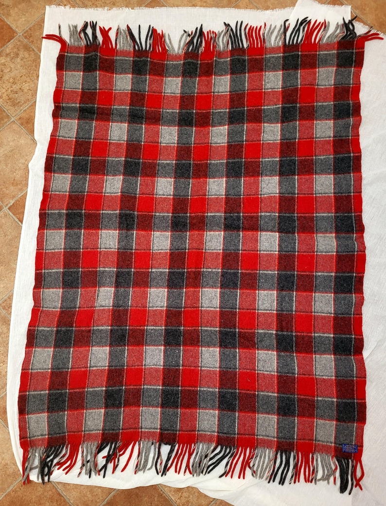 Op de afbeelding: Een rood, zwart en grijs geruite deken met franjes. De deken heeft een klassiek ruitpatroon in een rechthoekige vorm. De franjes zijn een mix van rood, zwart en grijs. De deken is gemaakt van een zacht materiaal.