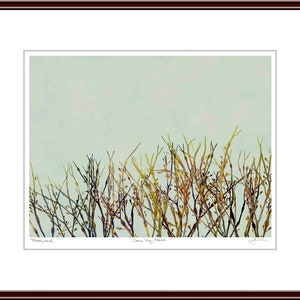 Pressed Seaweed Print, Rockweed, Casco Bay, Maine.  Item #410305 ep.