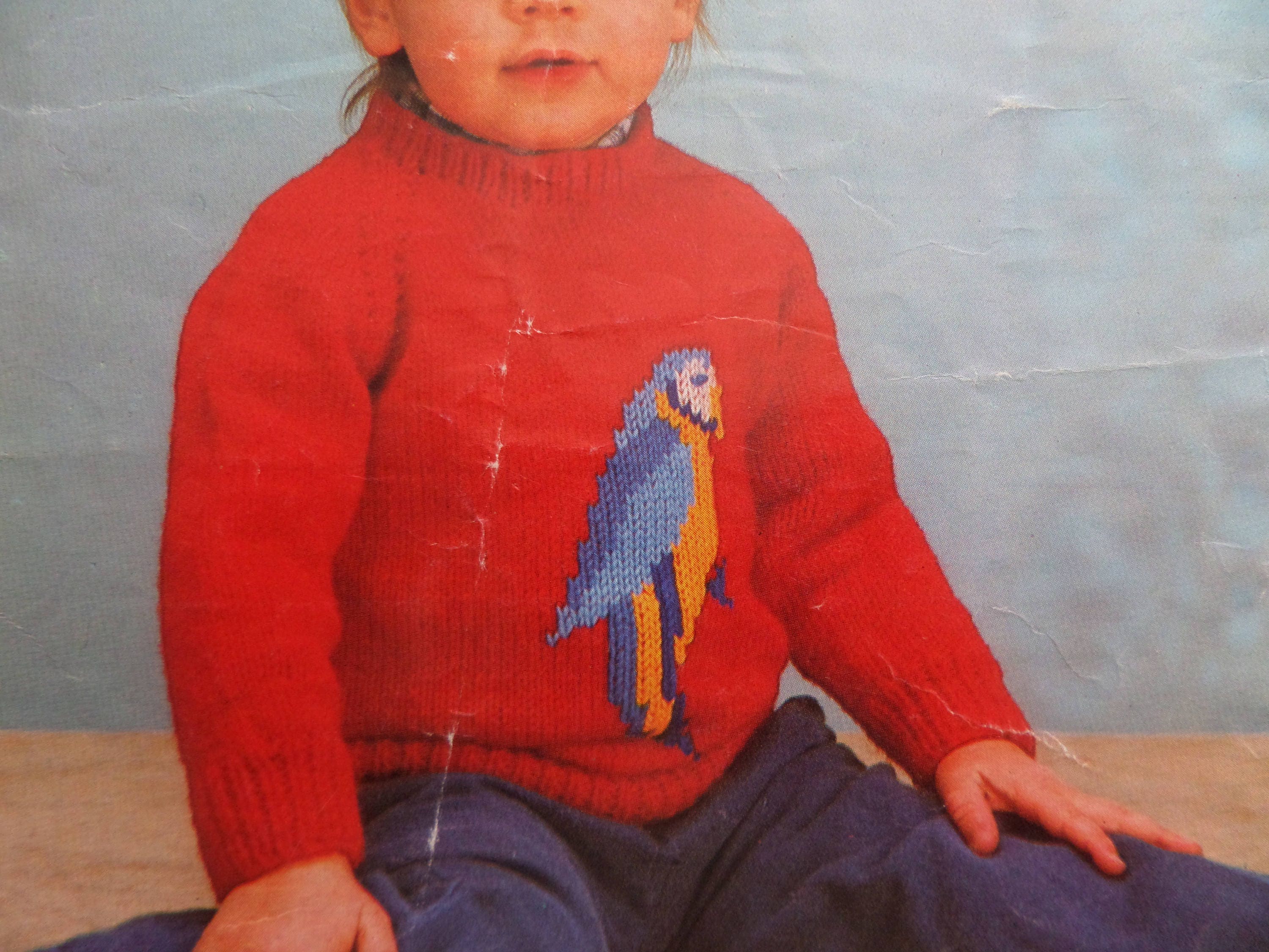 Parrot christmas shop jumper
